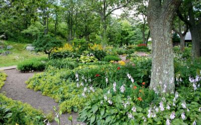 Embracing Green Design: Sustainable Landscaping and Garden Design for a Brighter Future