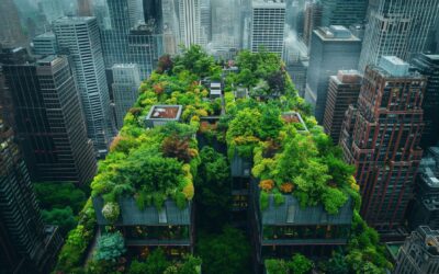 Green Building Basics